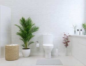 Quelles sont les astuces pratiques pour bien nettoyer ses toilettes rapidement ? / iStock.com - onurdongel