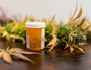 Santé : une arrivée du cannabis médical en France ? / iStock.com - FatCamera