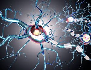 Sclérose en plaques : une maladie qui touche le système nerveux central / iStock.com - Ralwel