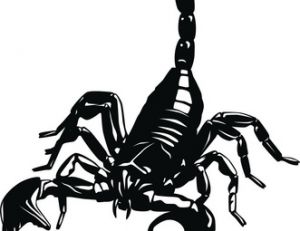 Silhouette d’un scorpion actuel