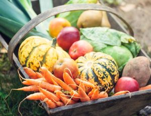Septembre : quels légumes semer, quel entretien de votre jardin ? / iStock.com - Brzozowska