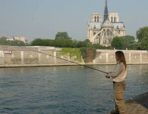 Joli silure de la Seine