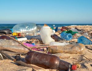 Une étape majeure contre la pollution plastique franchie pour la Terre ? / iStock.com - Larina Marina