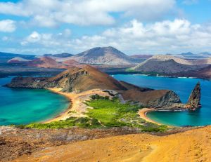 Voyage Galapagos : que faire ? / Istock.com - DC_Colombia