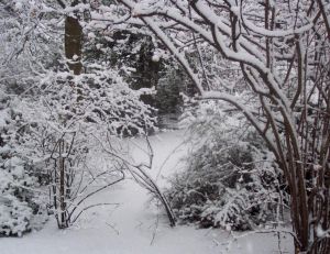 Jardin sous la neige