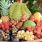 Alimentation : découvrez les fruits méconnus et leurs vertus / iStock.com-dangdumrong