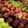 Selon Greenpeace, les pommes vendues en supermarché renferment une cinquantaine de pesticides et sont mauvaises pour la santé, dans une certaine mesure...