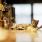 Bar à chats : de Taiwan à Paris, histoire de ces cafés où l'on caresse des félins / iStock.com - Yue_