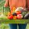 Conso : 5 raisons d'acheter ses fruits et légumes chez le producteur / iStock.com - SuzanaMarinkovic