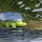 Un propriétaire d'une villa située non loin du parc des Everglades a découvert un crocodile de 2 m dans sa piscine
