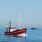 Europe : des surpêches importantes en Méditerranée, mer Noire et mer Baltique / iStock.com - hsvrs