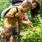Explorer la nature avec ses enfants : les bienfaits de cette activité / iStock.com - SolisImages