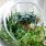 Fabriquez votre propre terrarium : un ecosystème miniature pour egayer votre intérieur