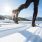 Ski nordique : comment bien le pratiquer ?/ iStock.com - TommL