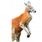 Le kangourou roux peut peser 90 kilos