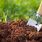 Naturels, chimiques ou encore terreau : quels engrais pour votre sol ? / iStock.com - malerapaso