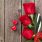 Saint-Valentin : shopper 6 objets de décoration romantique / iStock.com - karandaev