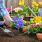 Slow Gardening : jardinez décontracté ! / iStock.com - AlexRaths