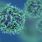Transmission du virus de la grippe A H1N1 / iStock.com - cgtoolbox