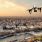 Un dimanche par mois, il est possible de faire voler son drone à Paris