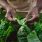 Zoom sur les épinards : un légume riche en antioxydants / iStock.com-Goodboy Picture Company