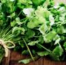 Coriandre : pourquoi cette herbe aromatique est-elle si détestée ?