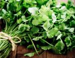 Coriandre : pourquoi cette herbe aromatique est-elle si détestée ?