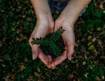 L’essor des emplois verts : découvrir les carrières de l’économie durable