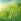 Comment planter du gazon