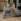 Le Chartreux
