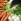 Cuisiner les fanes de carottes