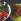 Recette des falafels