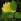 Reconnaitre les maladies des plantes