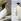Pingouin torda et manchot