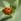 Soigner et traiter les plantes
