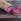 Tout savoir sur la patate douce violette/istock.com-AmalliaEka