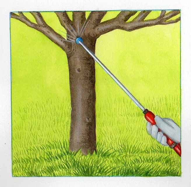 Glue Arboricole Verte - Anti-insectes Rampants - Pour Arbres Fruitiers Et D'ornement - Facile à Appliquer